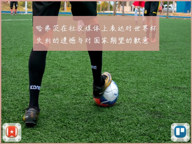 哈弗茨在社交媒体上表达对世界杯失利的遗憾与对国家期望的歉意