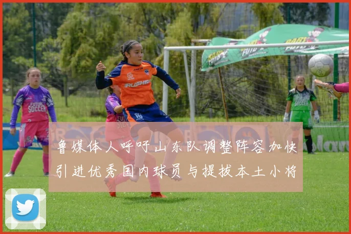鲁媒体人呼吁山东队调整阵容加快引进优秀国内球员与提拔本土小将