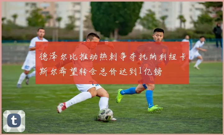 德泽尔比推动热刺争夺托纳利纽卡斯尔希望转会总价达到1亿镑
