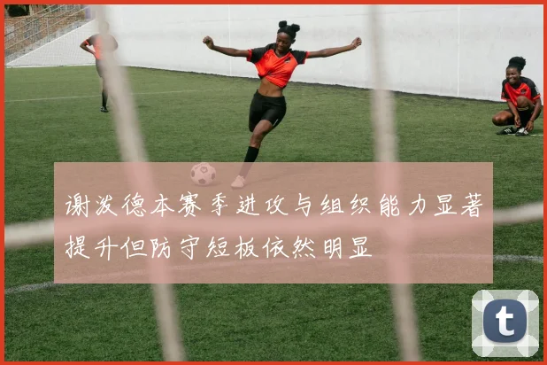 谢泼德本赛季进攻与组织能力显著提升但防守短板依然明显