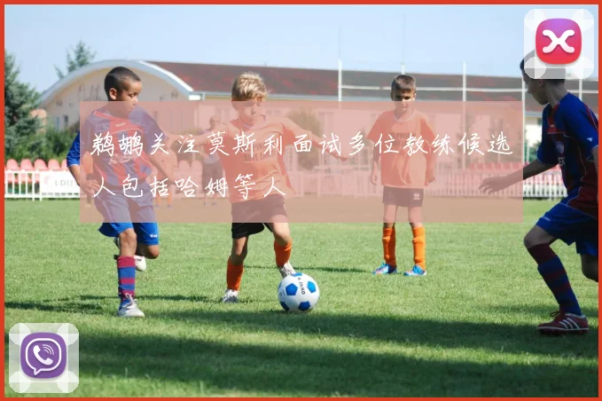 鹈鹕关注莫斯利面试多位教练候选人包括哈姆等人